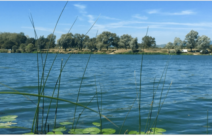 Le Val de Saône - Ain