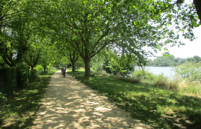 La Voie Bleue - Vélo - Val de Saône - Ain