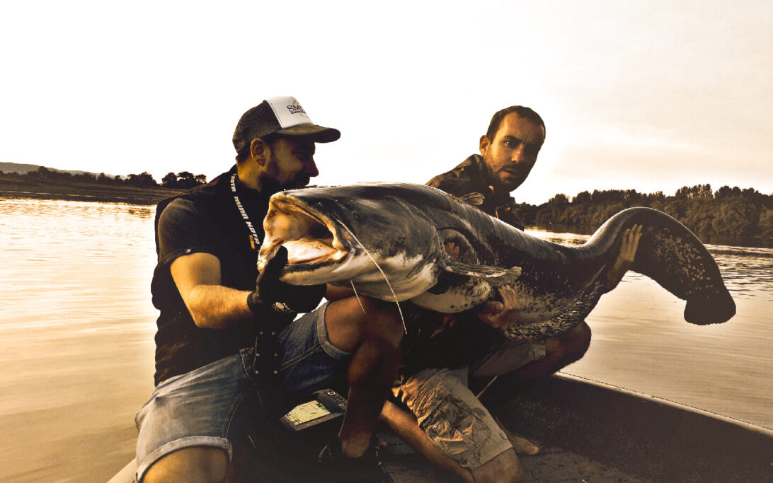 Immersion Sauvage - Messimy-sur-Saône - Ain - pêche - Val de Saône