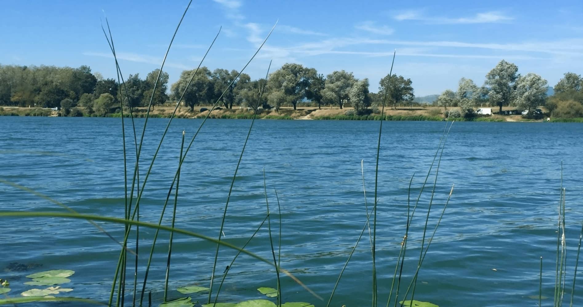 Vue de la Saône - Ain - Val de Saône