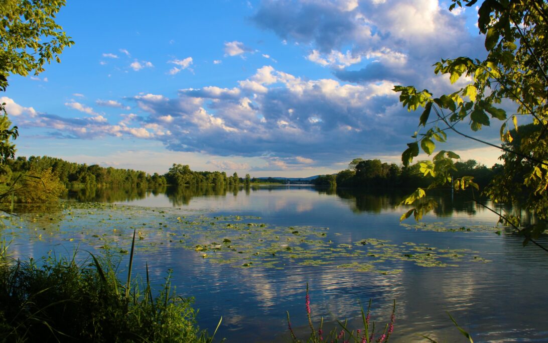 Paysage du Val de Saône - Ain