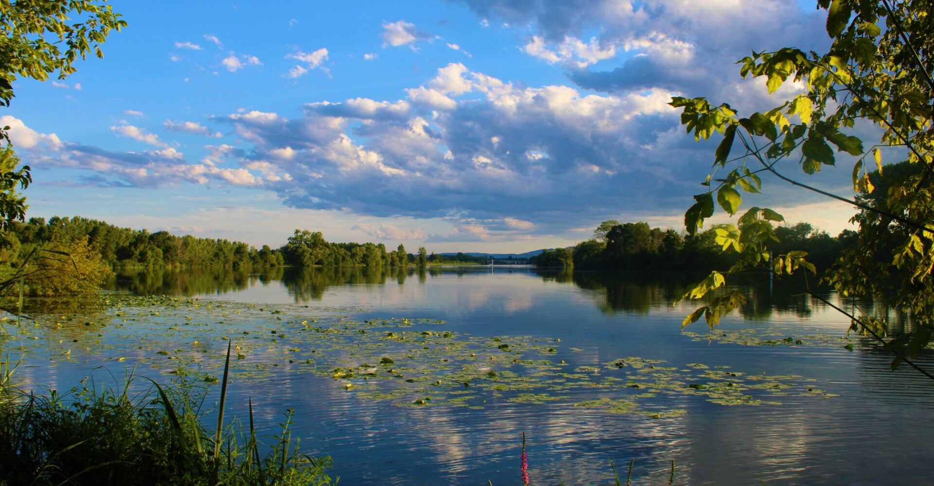 Paysage du Val de Saône - Ain